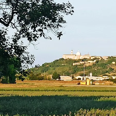 Apartment Il Cipresso