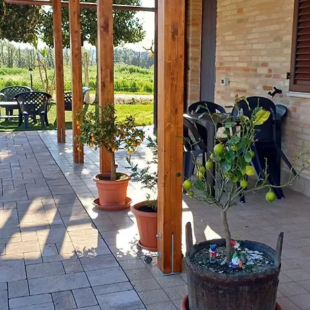 Lägenhet Il Cipresso *